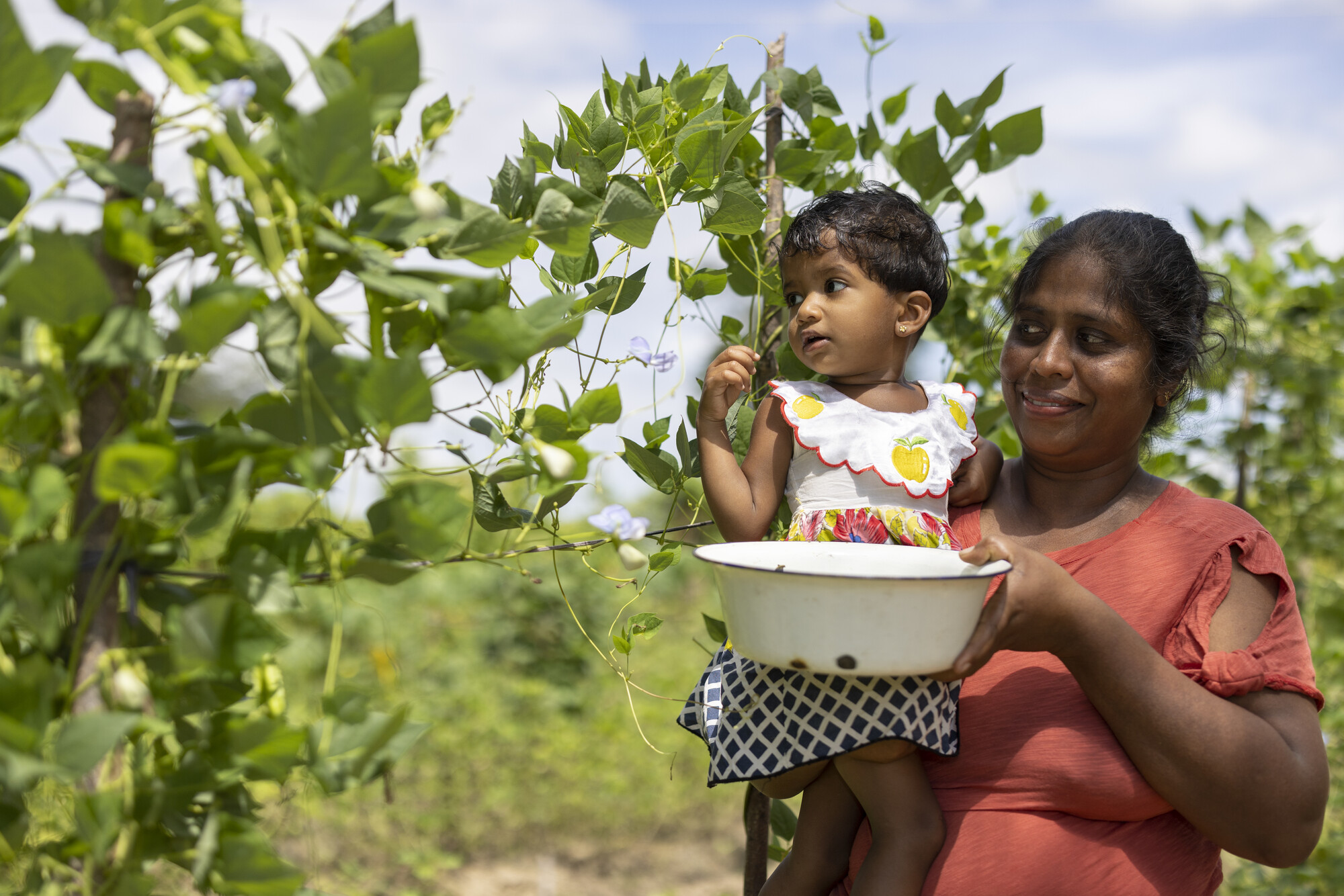 A smiling mother in a red dress holds her young daughter and a bowl while picking vegetables in a lush green farm.