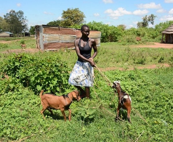 Young woman herds goats in Uganda.