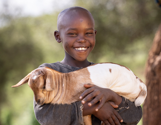 Breeding Pair of Goats