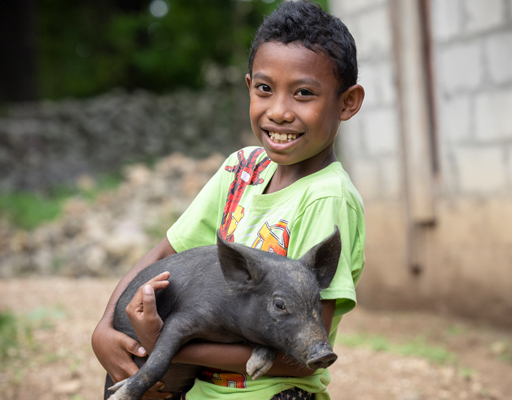 1 Pig