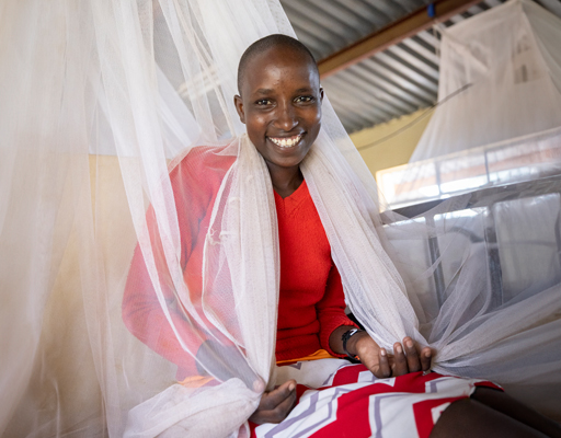 2 Mosquito Nets