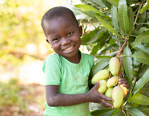 FY24 RGC fruittrees.jpg